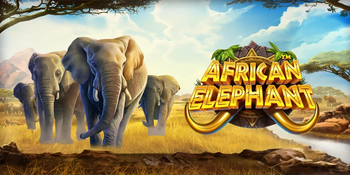 Strategi Aman Bermain Slot African Elephant Dengan Modal Tipis